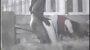 Ο Stepbro διδάσκει τον σεβασμό στον Stepsis με τον Dingdong του