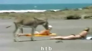 Το Cindy's BF είναι πολύ Βρετανό, αλλά ακόμα πιο Horni!